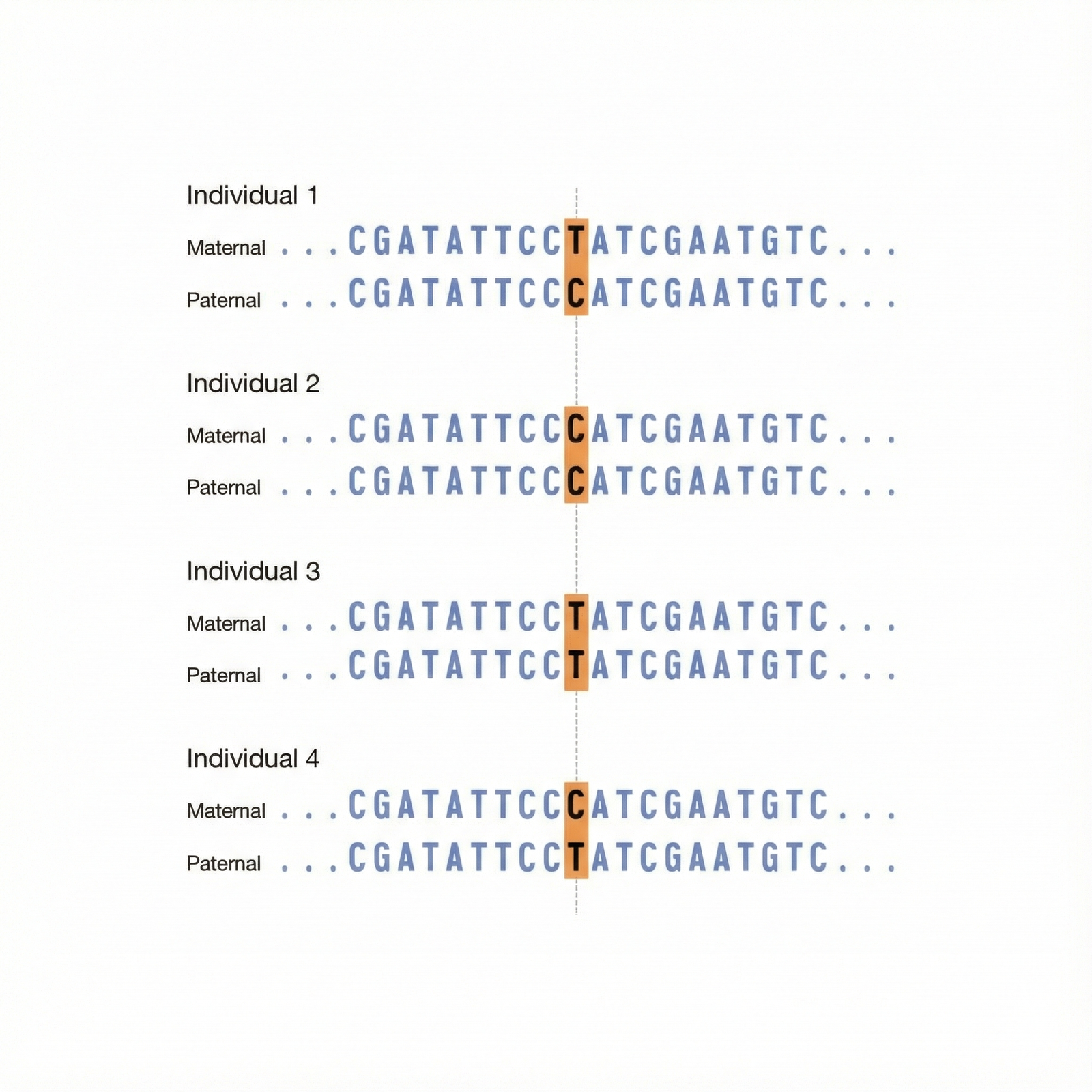 gemini generated image 8b64x18b64x18b64