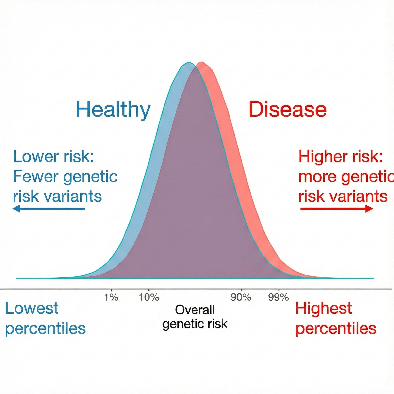 gemini generated image 8dk47j8dk47j8dk4