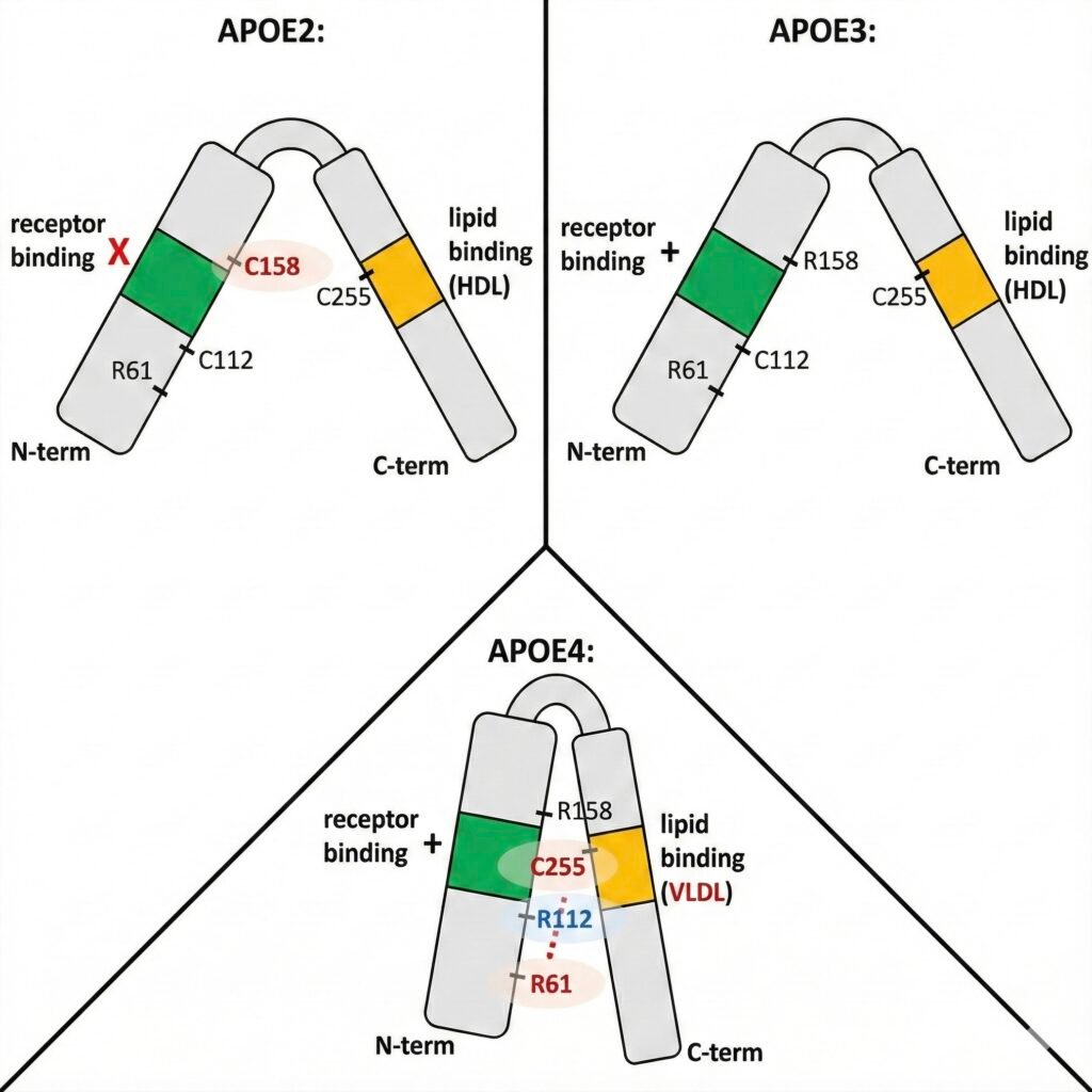 gemini generated image a9d7n2a9d7n2a9d7